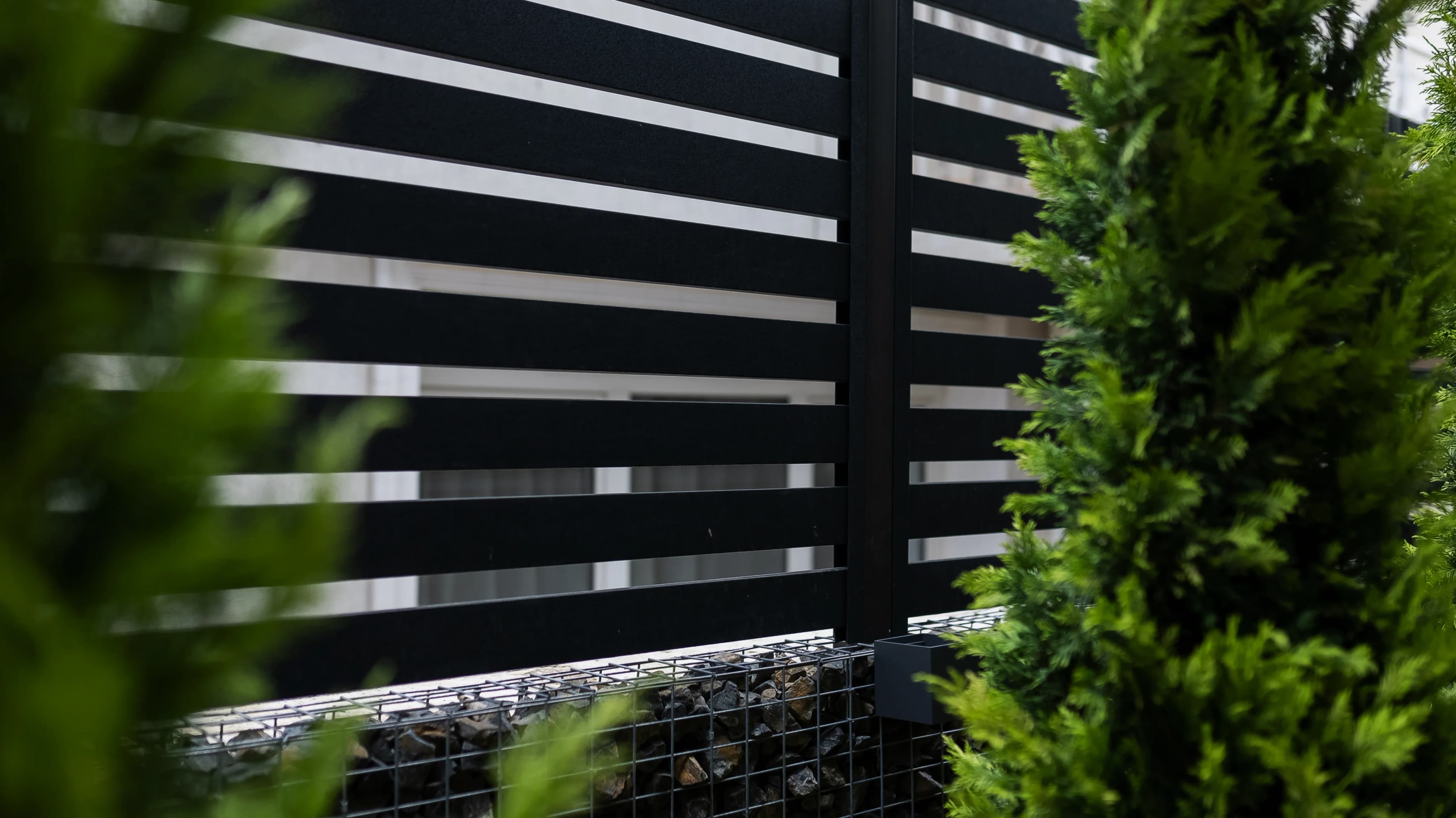 Casă Cojușna — fotografie 4