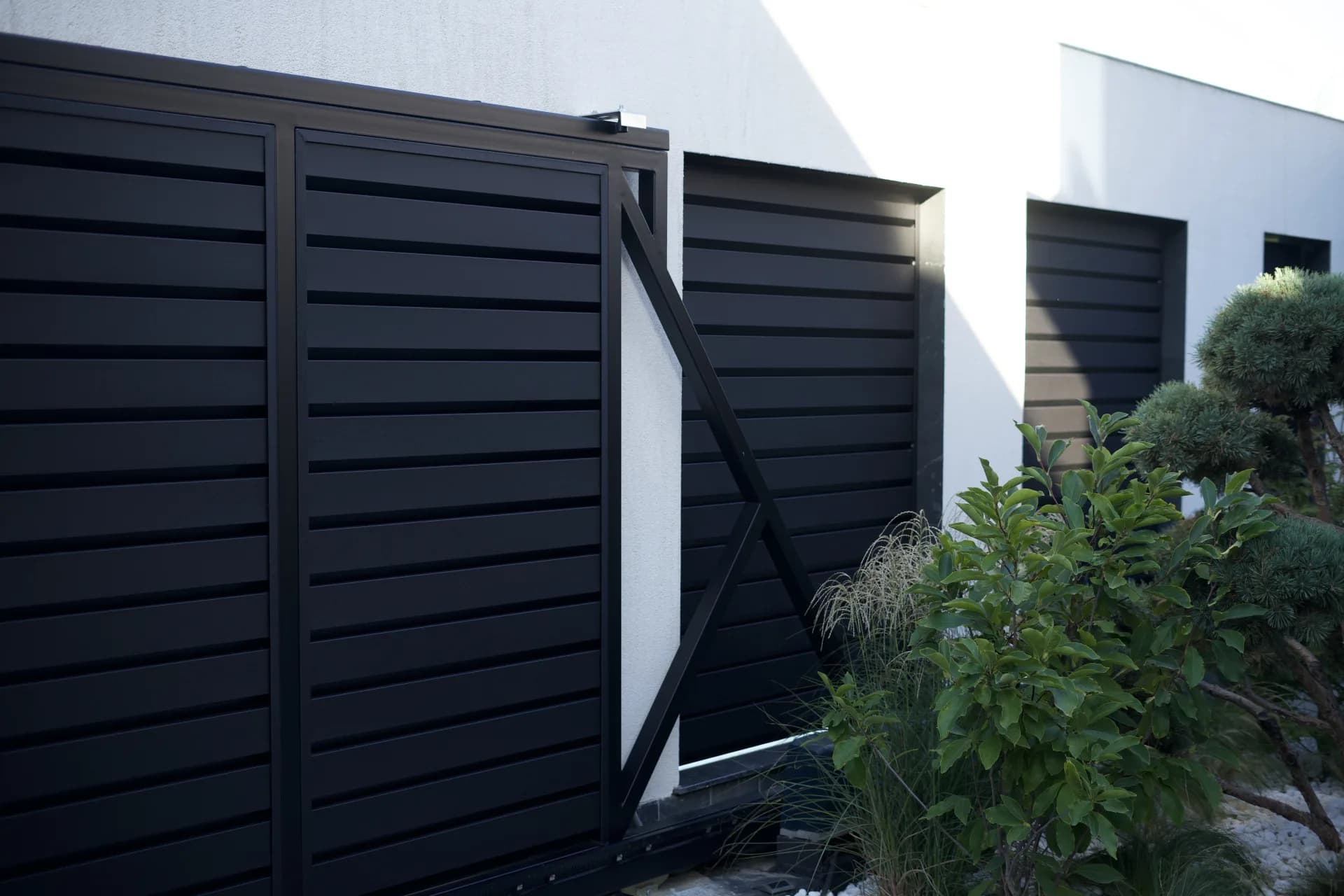 Proiect Personalizat — Doina Danielean — fotografie 2